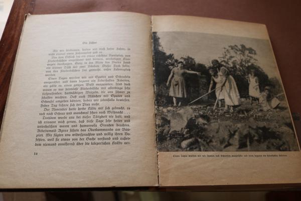 Buch - Vroni Rothmayer - Moni geht zum Arbeitsdienst - 1941